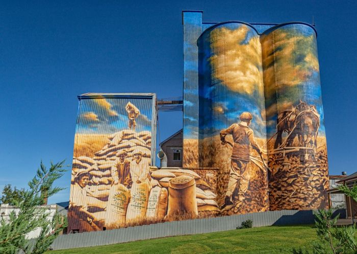 Murrumburrah Silo Art - Credit: Brent Randall | Hilltops Council